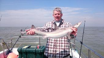 7 lb Smooth-hound (Common) by Bob Marshall