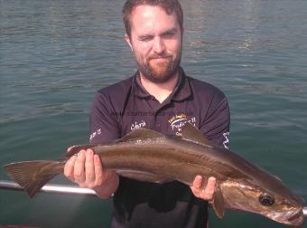 7 lb Pollock by beardy chris