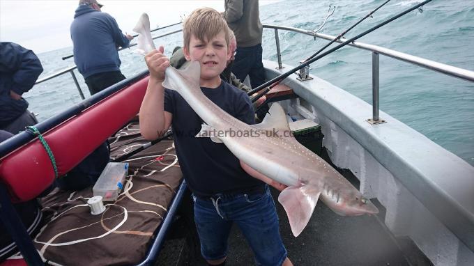12 lb 5 oz Smooth-hound (Common) by Danny from Kent