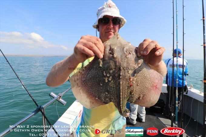 4 lb Thornback Ray by Keith