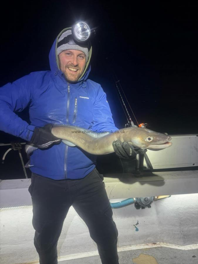 7 lb Bull Huss by Unknown