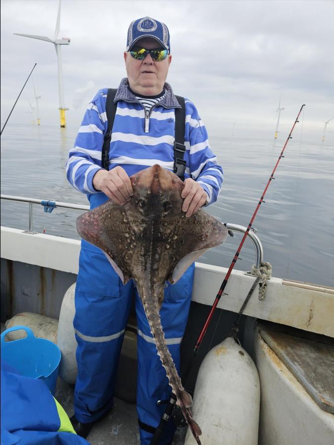 10 lb Thornback Ray by Robert Lee