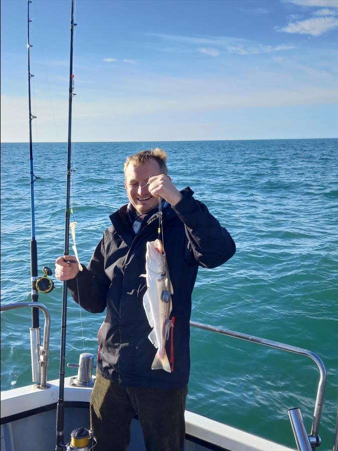 1 lb 8 oz Whiting by Edd