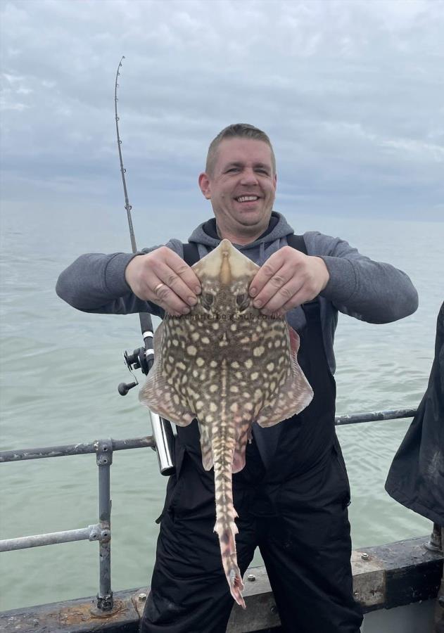 4 lb Thornback Ray by Unknown