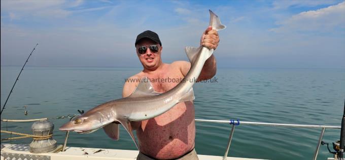 12 lb 8 oz Starry Smooth-hound by Martin