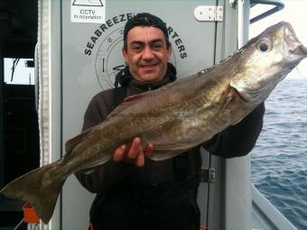 15 lb Pollock by Adrian