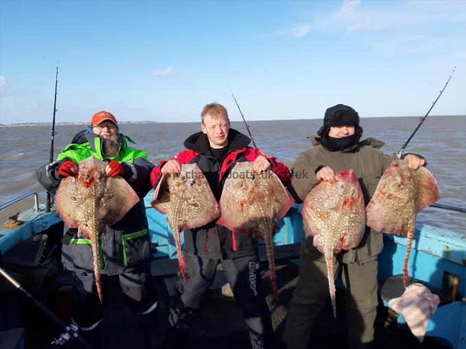 12 lb Thornback Ray by Individual day