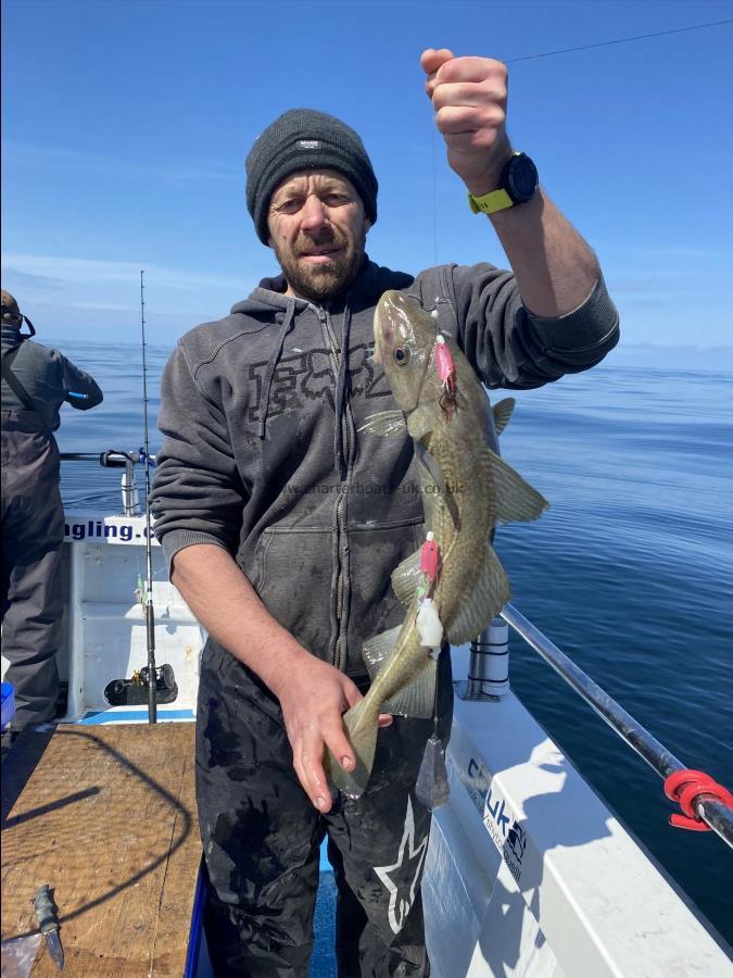 6 lb Cod by Tony Firman.