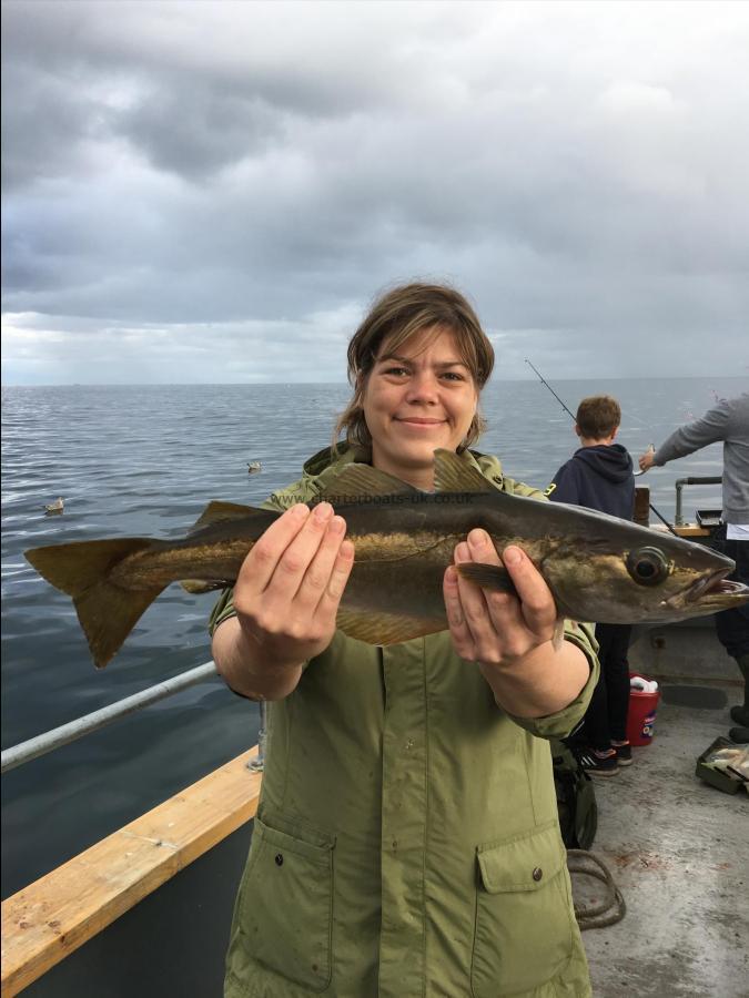 3 lb 8 oz Pollock by Unknown