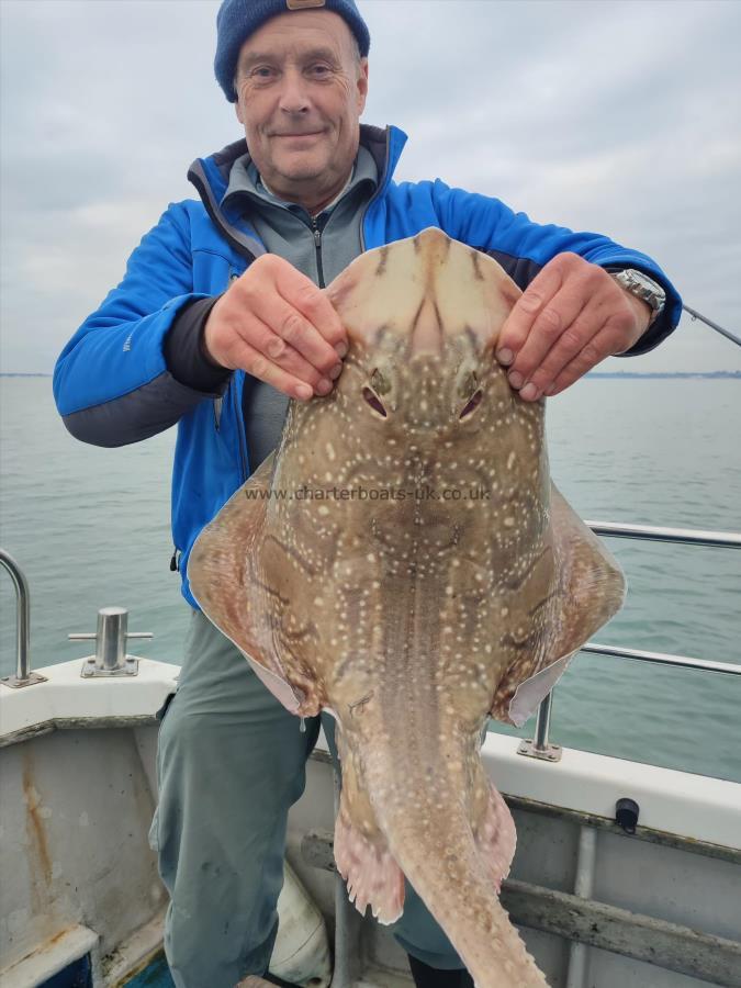 15 lb 10 oz Undulate Ray by Peter