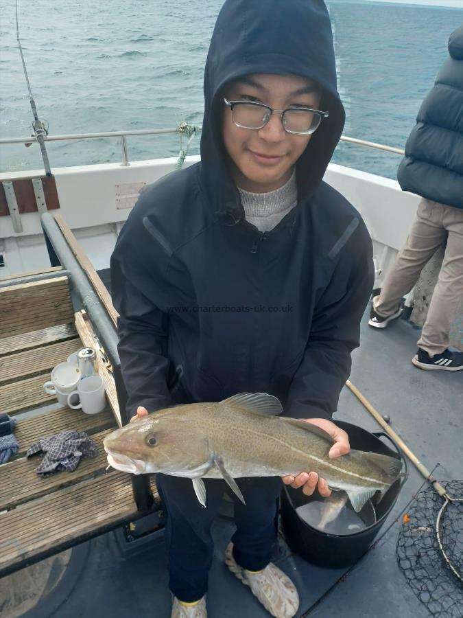 7 lb 2 oz Cod by Phan hien