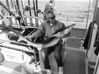 42 lb Blue Shark by Sean