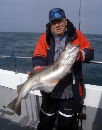 16 lb Pollock by Mick