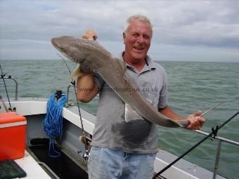 20 lb 8 oz Smooth-hound (Common) by Unknown