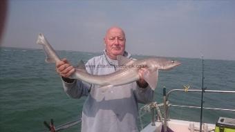 7 lb 12 oz Starry Smooth-hound by Bob Marshall