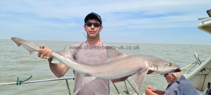 13 lb 8 oz Starry Smooth-hound by Mick