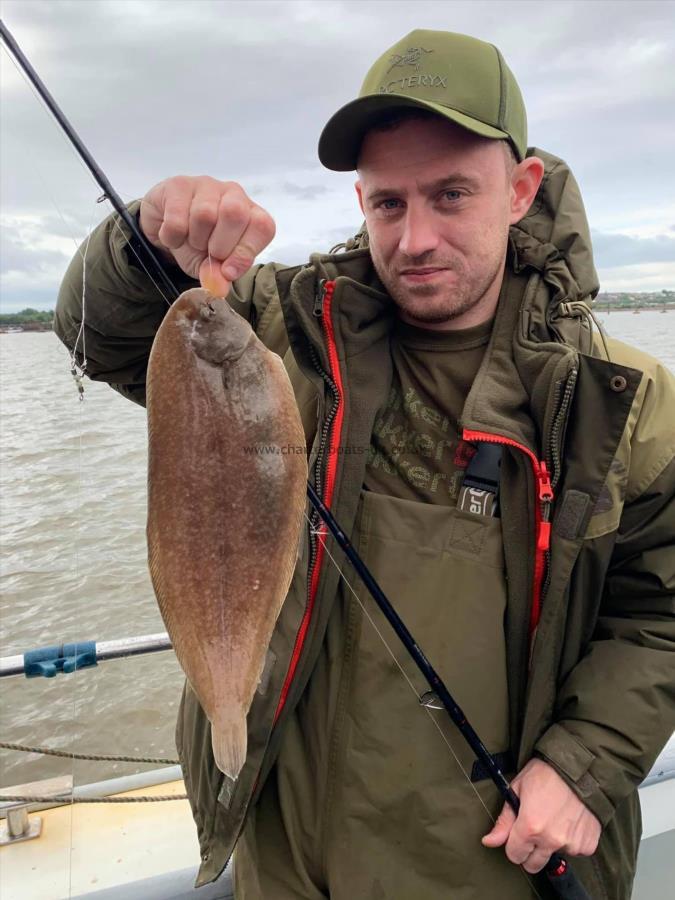 1 lb 2 oz Dover Sole by Unknown