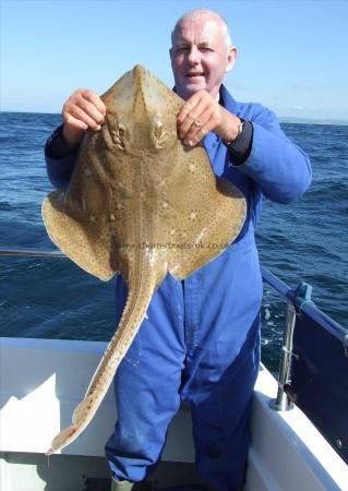 12 lb Blonde Ray by Dave Metcalf