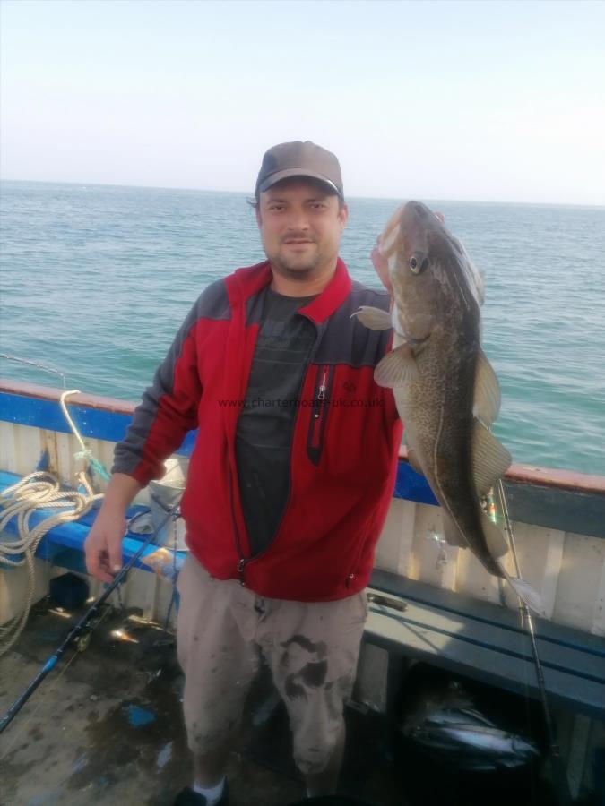 5 lb 2 oz Cod by Unknown