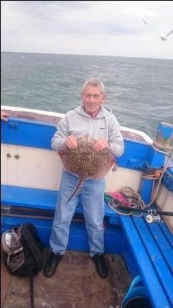 4 lb 8 oz Thornback Ray by Unknown