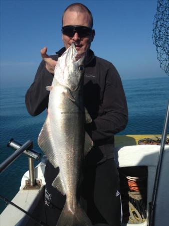 11 lb 8 oz Pollock by Dan