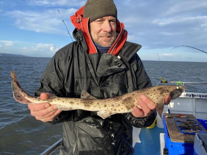 2 lb Smooth-hound (Common) by Rich Askew.