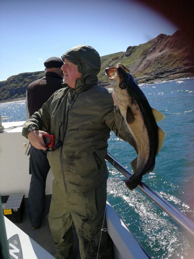 7 lb Cod by Unknown