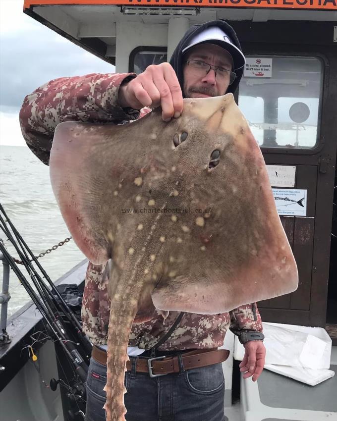 8 lb Thornback Ray by Unknown