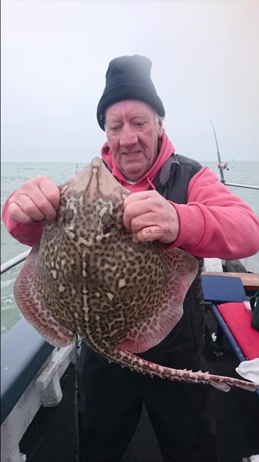 6 lb 2 oz Thornback Ray by Dave the bait from ramsgate