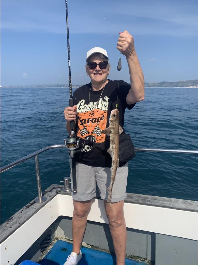 2 lb Lesser Spotted Dogfish by Unknown