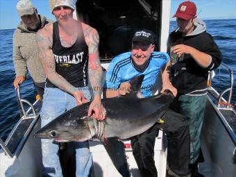 95 Kg Porbeagle by paul from the netherlands
