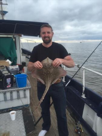 8 lb Thornback Ray by Unknown