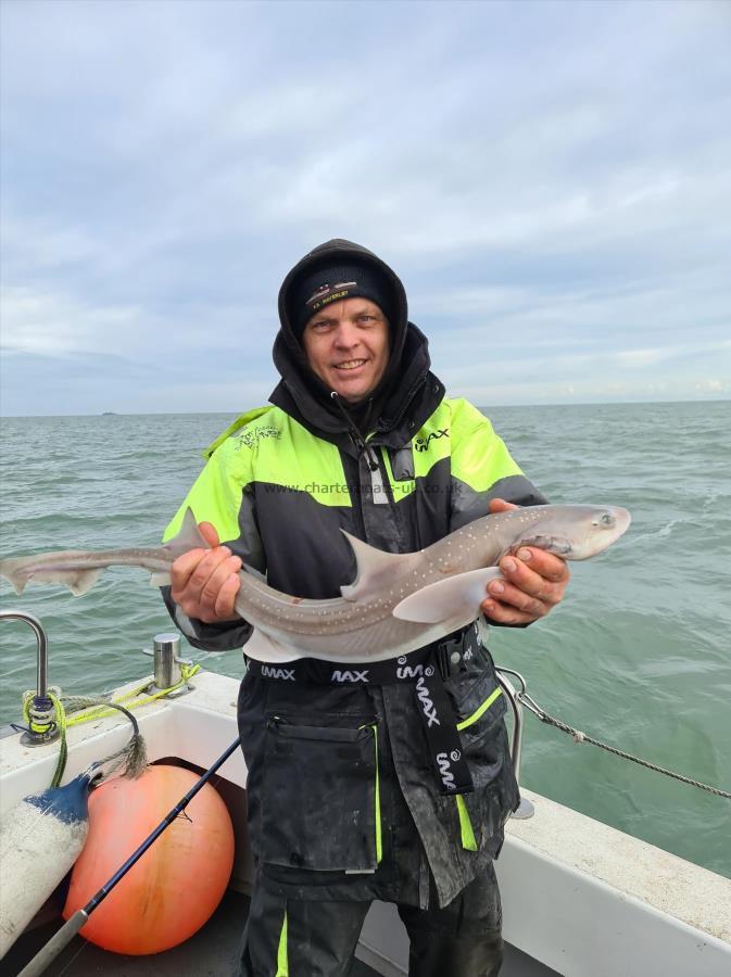 7 lb Smooth-hound by Paul 'Beaver' Beavis