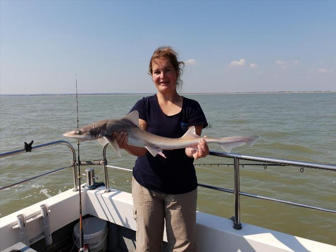 7 lb Smooth-hound by Bob Marshall