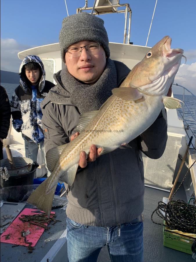 8 lb 5 oz Cod by Hanlin