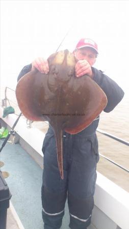 12 lb Blonde Ray by alan cohen