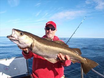 13 lb 10 oz Pollock by Unknown