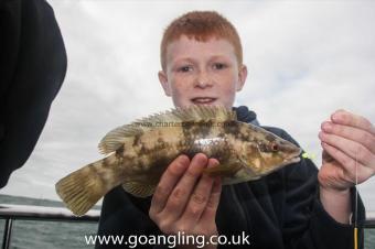 2 lb Ballan Wrasse by Ryan