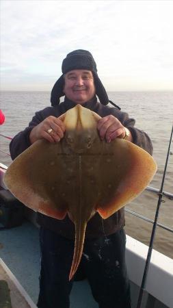 15 lb Blonde Ray by graham blackmore
