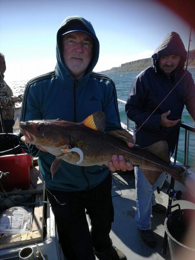 5 lb Cod by Unknown