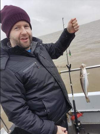 2 lb Whiting by Dan A