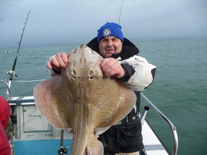 14 lb 2 oz Undulate Ray by Conn