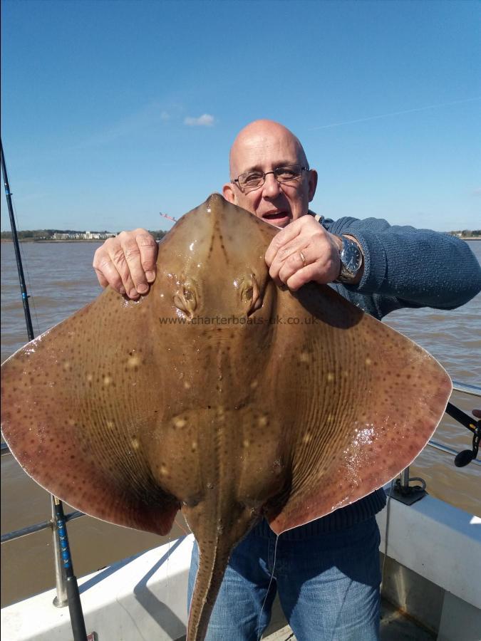 19 lb 4 oz Blonde Ray by Frank