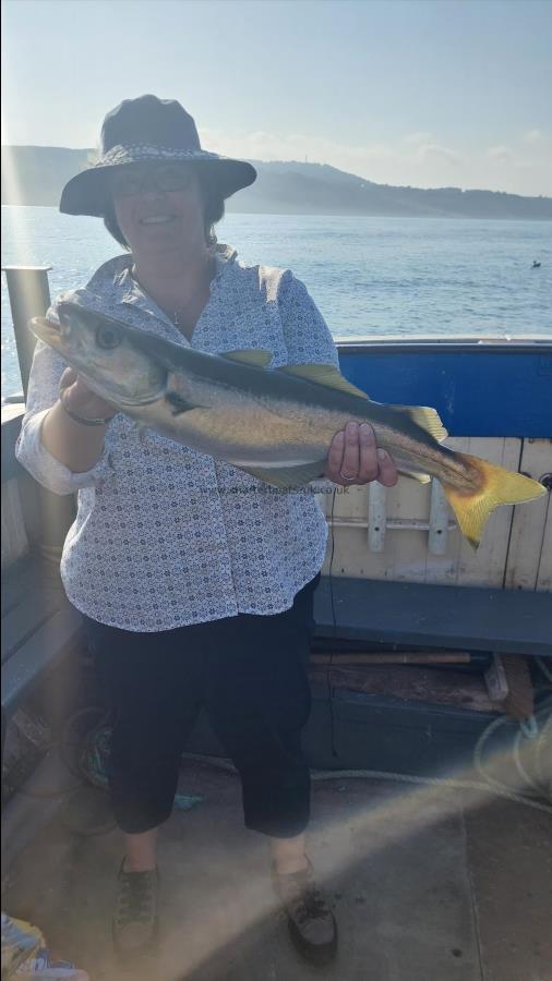 4 lb 12 oz Pollock by Unknown