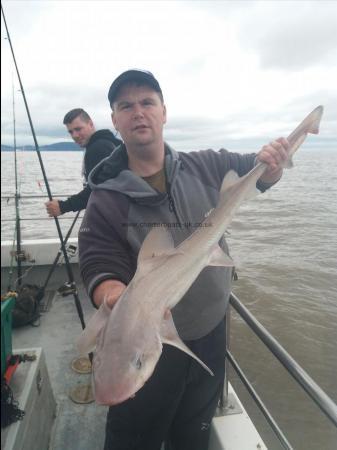 15 lb Starry Smooth-hound by Craig rosser