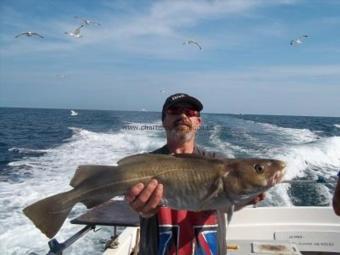 6 lb Cod by Unknown