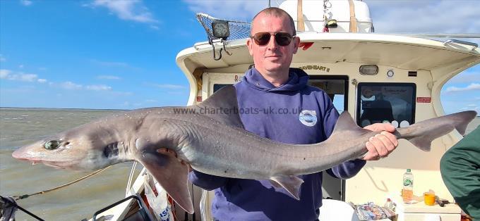 14 lb 9 oz Starry Smooth-hound by Steve