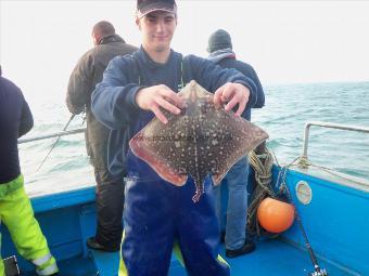 5 lb Thornback Ray by Unknown