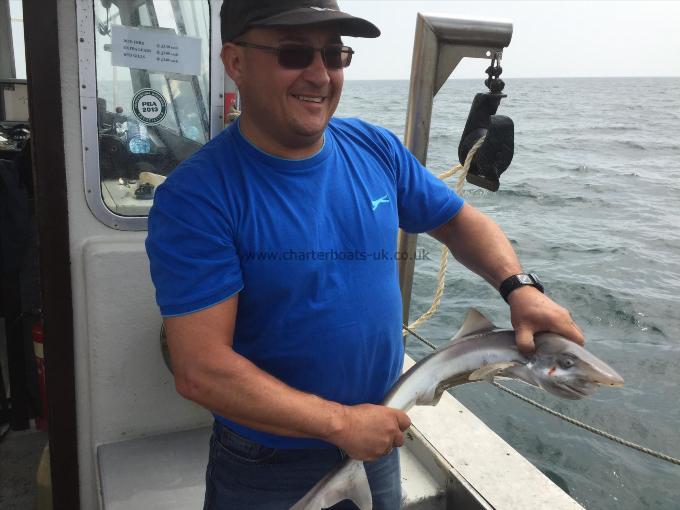 4 lb Smooth-hound by Martin