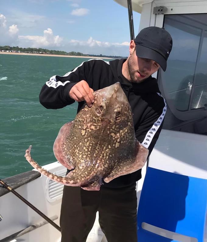 8 lb Thornback Ray by Unknown